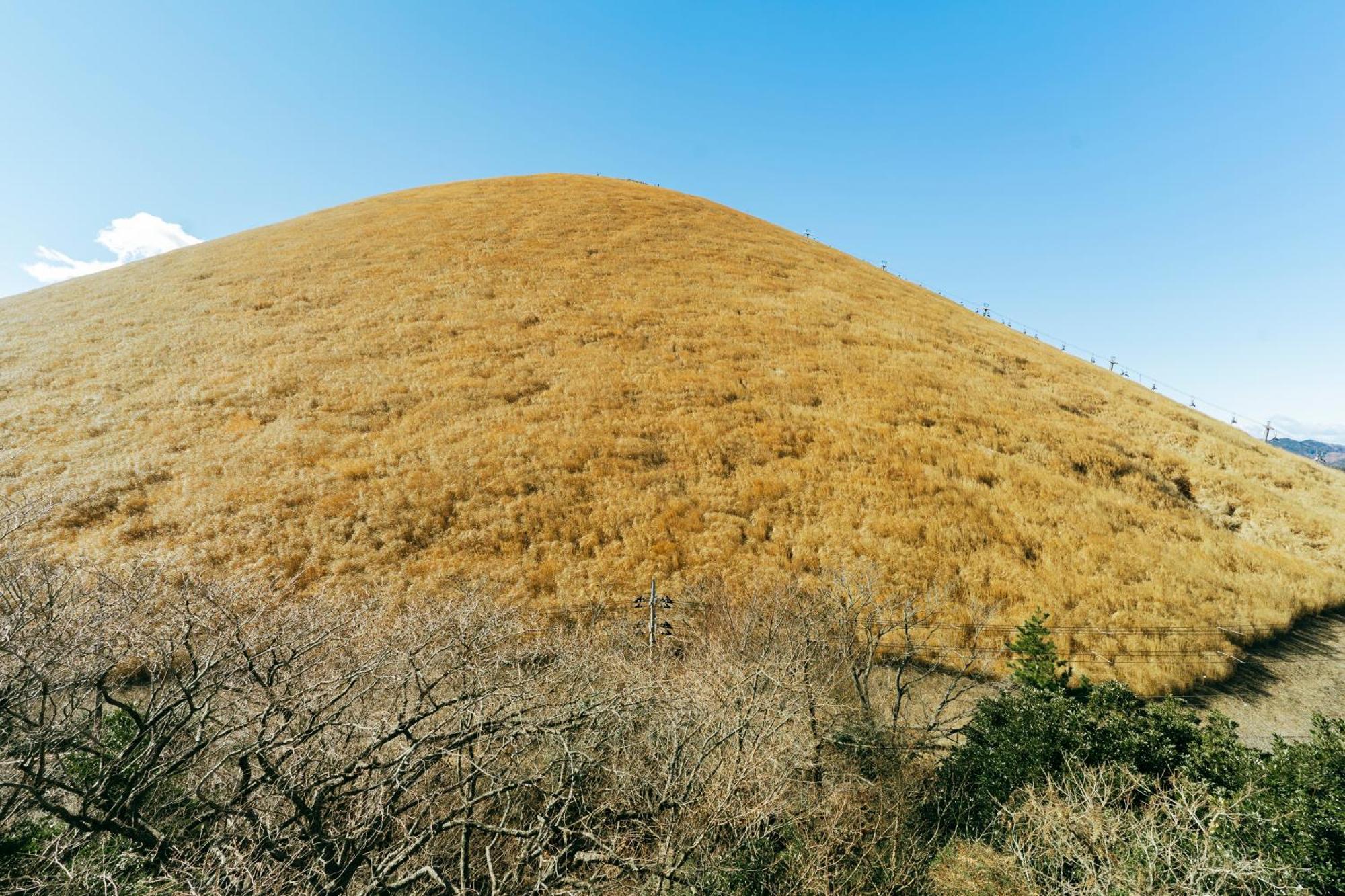 Вілла スマートステイ大室山2合目 Futo Екстер'єр фото